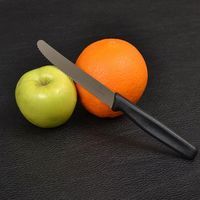 Комплект кухонних ножів Victorinox 5.0833 5 шт + 1 шт в подарунок